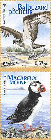 Le balbuzard pcheur effectue une parade nuptiale spectaculaire, lui servant  attirer une femelle ou a consolider les liens d'un couple dj tabli. Le macareux moine avec un bec qui est la partie la plus remarquable : grossirement triangulaire et volumineux, il est form de couches cornes successives, pointe rouge, base bleu fonc entoure de jaune. Il est lgrement crochu.
