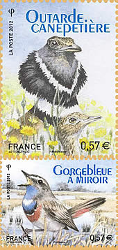 le cri mis par le mle d'outarde est un PRRRRT bref et sec qui permet de dtecter les individus au printemps. Le cri mis quatre fois par minute est audible  l'oreille humaine entre 600 et 800 mtres. La gorgebleue  miroir a pour cri habituel un son dur rpt, mais il peut aussi mettre un son plaintif.