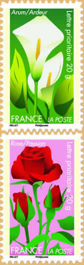 l'arum exprime l'ardeur et la rose , la passion