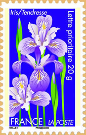 l'iris exprime la tendresse l'iris exprime la tendresse