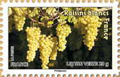 Les raisins blancs de France. Les raisins blancs de France.