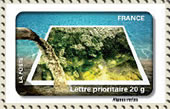 algues vertes algues vertes