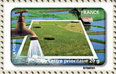 irrigation